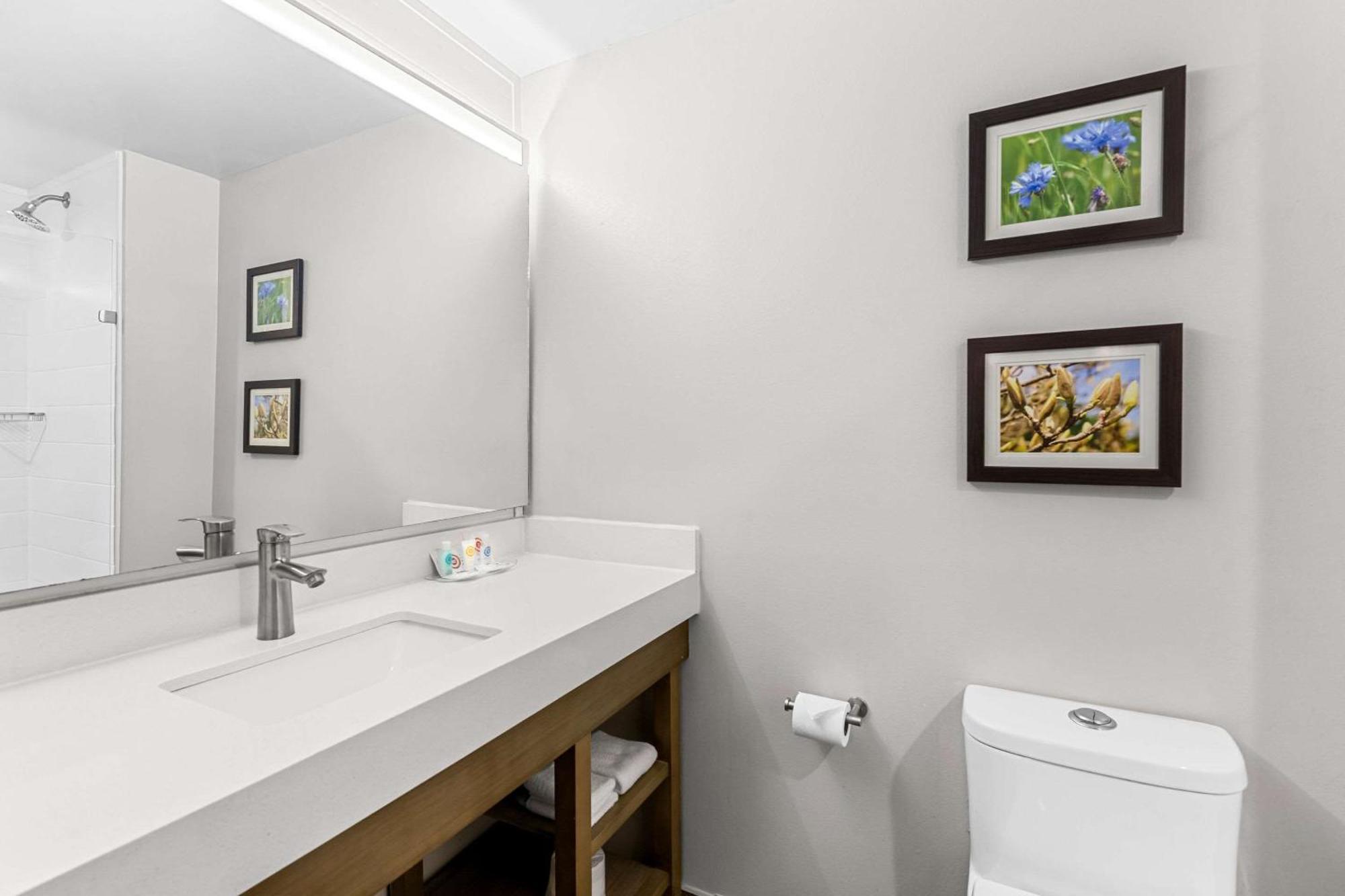 קולומביה Comfort Suites מראה חיצוני תמונה